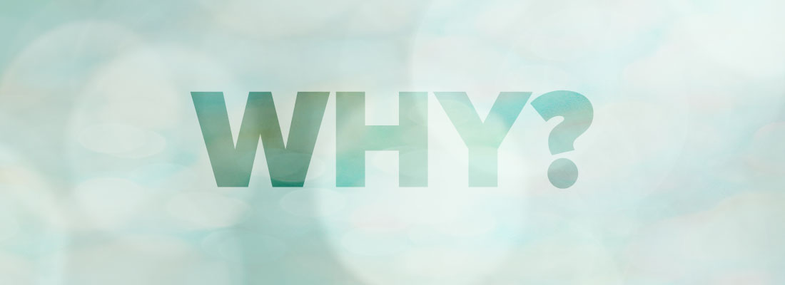 'Why?' graphic in color green with circle light flares design.
